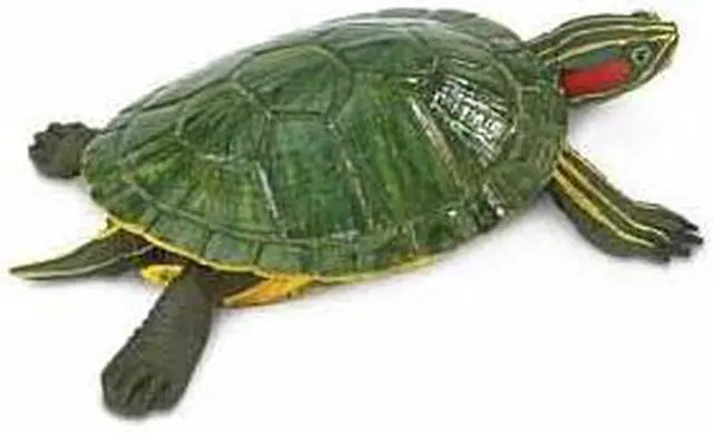 Main image of Safari 269529 Incredible Creatures Red-Eared Slider Turtle