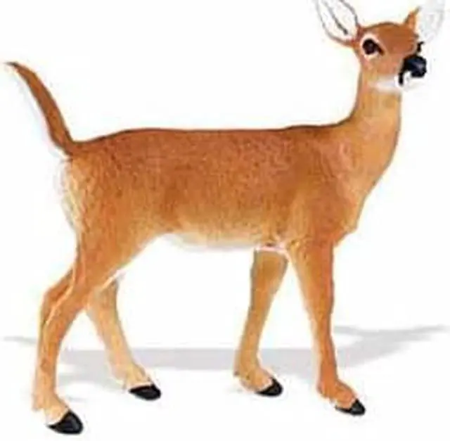 Alt view image 3 of 8 - North American Wildlife: Whitetail Doe