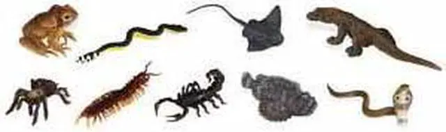 Alt view image 4 of 12 - Plastic Miniatures In Toobs-Venomous Creatures