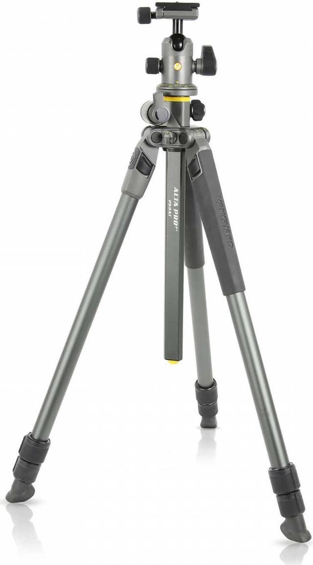 Vanguard Alta Pro 2+ 263AB 100 Aluminum Tripod with Alta BH100