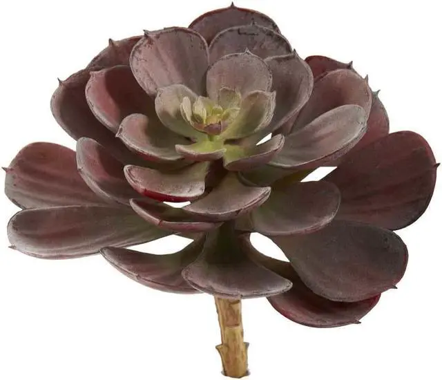 Main image of Nearly Natural 6105-BG-S12 6 in. Echeveria Succulent Plant, Burgundy - Set of 12