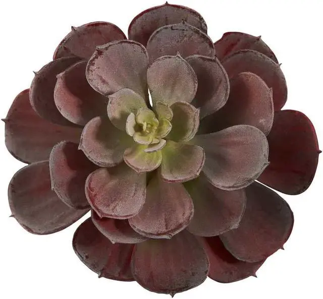 Alt view image 2 of 11 - Nearly Natural 6105-BG-S12 6 in. Echeveria Succulent Plant, Burgundy - Set of 12