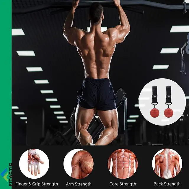 Alt view image 2 of 7 - Fitactic Rock Climbing Solid Training Cannonball Bomb Power Pull up Ball Hold Grips for Straps for Finger, Forearm, Biceps, Back Muscles