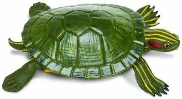 Alt view image 2 of 11 - Safari 269529 Incredible Creatures Red-Eared Slider Turtle