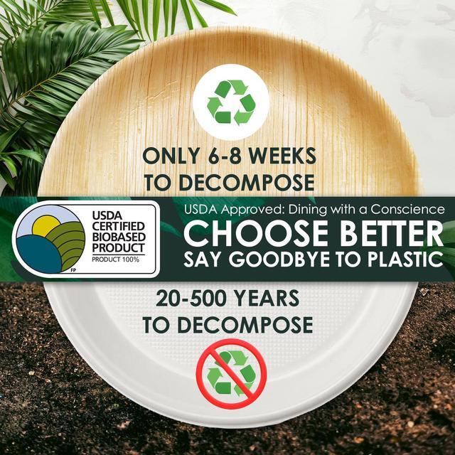 Alt view image 4 of 7 - Planet Pantry Disposable Palm Leaf Party Pack 10" & 7" Square Plate (25 pcs each) Biodegradable Eco-friendly Wooden Bamboo-Like Plate Party Pack for Food, Wedding, Buffet, Party