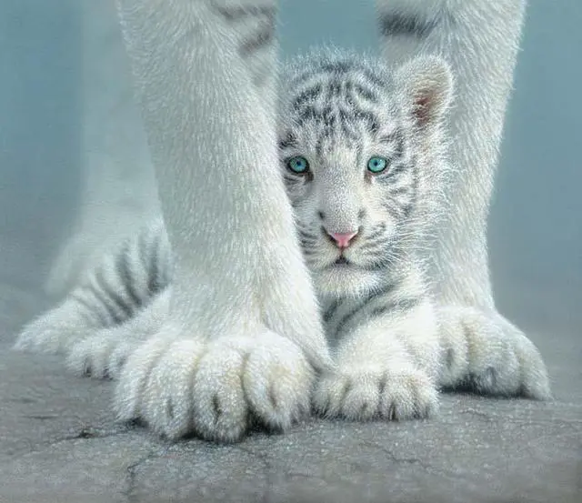 Alt view image 2 of 4 - Sheltered 550pc Jigsaw Puzzle by Colin Bogle SOIY1852 SUNSOUT