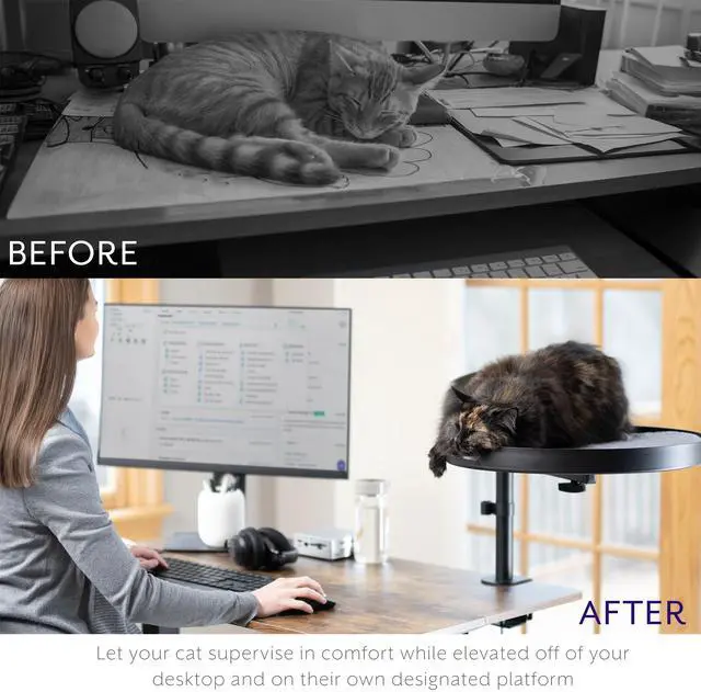 Alt view image 4 of 7 - Life Finds Clamp-on Round Cat Bed for Home Office Desk