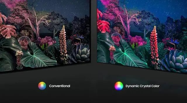 Alt view image 5 of 7 - Samsung QN65QN800BFXZA 65" 8K QLED Quantum Mini LED HDR Smart TV with an Additional 1 Year Coverage by Epic Protect (2022)