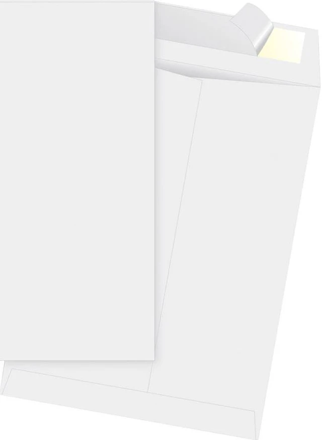 Business Source Open-End Envelopes Plain 10