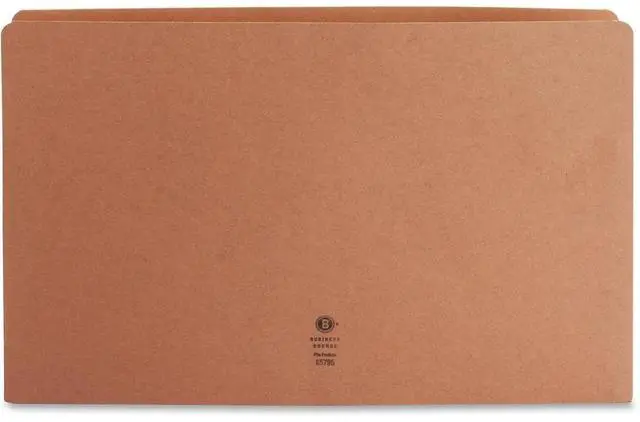 Alt view image 4 of 5 - Business Source 65795 Accordion Expanding File Pocket