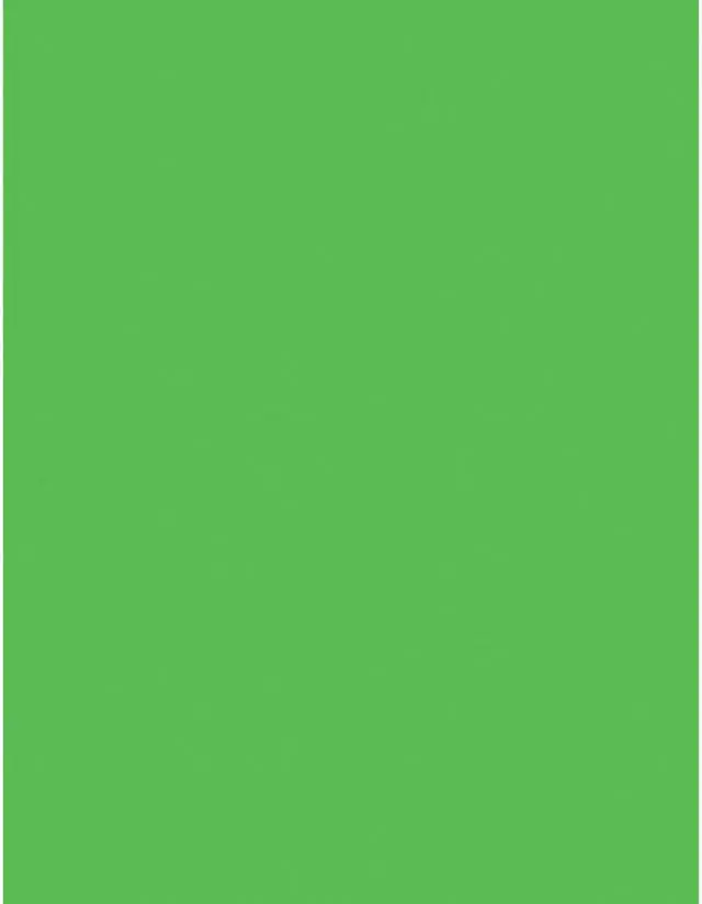 Alt view image 9 of 10 - Pacon 104317 Neon Bond Paper Letter - 8.50" x 11" - 100 / Pack - Green