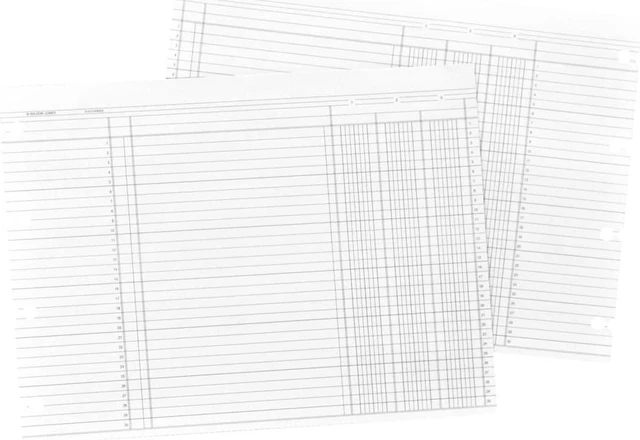Wilson Jones Balance Ledger Columnar Sheet 7.50