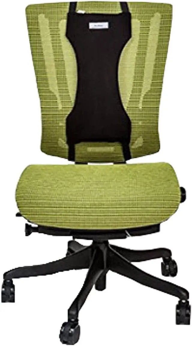 Alt view image 6 of 6 - Back Bone Lower Back Pain Relief Lumbar Support Pillow Cushion Mid-Back Thoracic Support for Office Chair For Car  7299