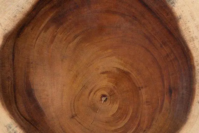 Alt view image 5 of 6 - bali & pari Jia Suar Wood End Table - Handcrafted Side Table with Live Edge Round Top and Tapered Legs, Rustic Boho Accent Furniture for Living Room, Bedroom, or Patio