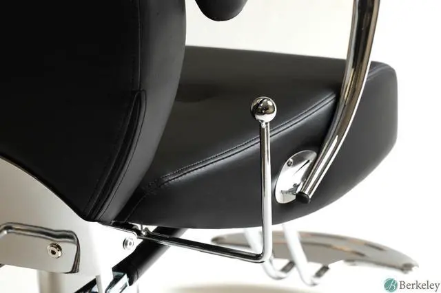 Alt view image 4 of 6 - Beauty Salon Styling Chair HERMAN BLACK All Purpose Salon Furniture and Barber Chairs