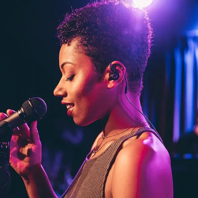 Alt view image 2 of 2 - ATH-E40 Professional in-Ear Monitor Headphones