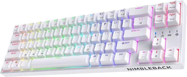 Main image of LTC NB681 Nimbleback Wired 65% Mechanical Keyboard, RGB Backlit Ultra-Compact 68 Keys Gaming Keyboard with Hot-Swappable Switch and Stand-Alone Arrow/Control Keys (Blue Switch, White)