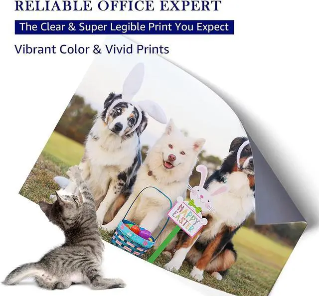 Alt view image 5 of 6 - Mooho Remanufactured Ink-Cartridge Replacement 952 XL 952XL OfficeJet 8710 8720 7740 8715 8210 8740 8725 7720 8702 8216 8730 Printer Ink (Black Cyan Yellow Magenta,4 Pack)
