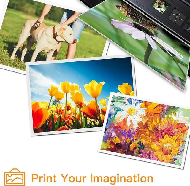 Alt view image 6 of 7 - Run Star 7 Pack T048 Remanufactured Ink Cartridge Replacement  48 T048 use  Stylus Photo R200 R220 R300 R300M R320 R340 RX500 RX600 RX620 Printer (2BK/C/M/Y/LC/LM)