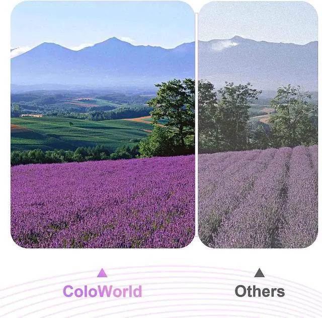 Alt view image 6 of 7 - ColoWorld Remanufactured 901 Ink Cartridge Replacement  901 XL Combo Pack Work with OfficeJet J4550 J4680 4500 J4580 J4540 J4500 J4680c G510a G510b G510g G510h G510n Printer (1 Black 1 Color)