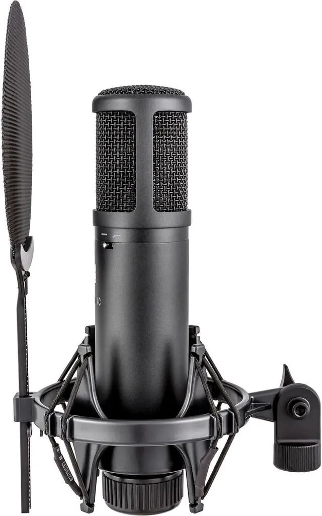 Alt view image 10 of 20 - sE Electronics sE2200 Large Diaphragm Condenser Microphone