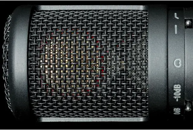 Alt view image 13 of 20 - sE Electronics sE2200 Large Diaphragm Condenser Microphone