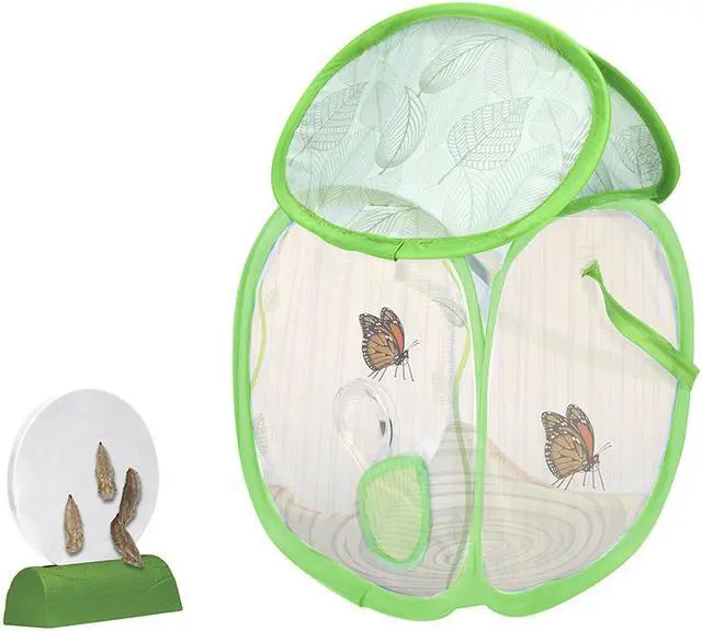 Main image of EDUCATIONAL INSIGHTS GEOSAFARI JR BUTTERFLY BUNGALOW