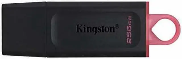 Alt view image 14 of 18 - KINGSTON DTX/256GB 256GB USB3 2 G1 DTE Blk Pink