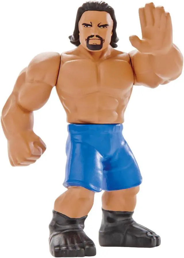 Main image of WWE Mighty Minis