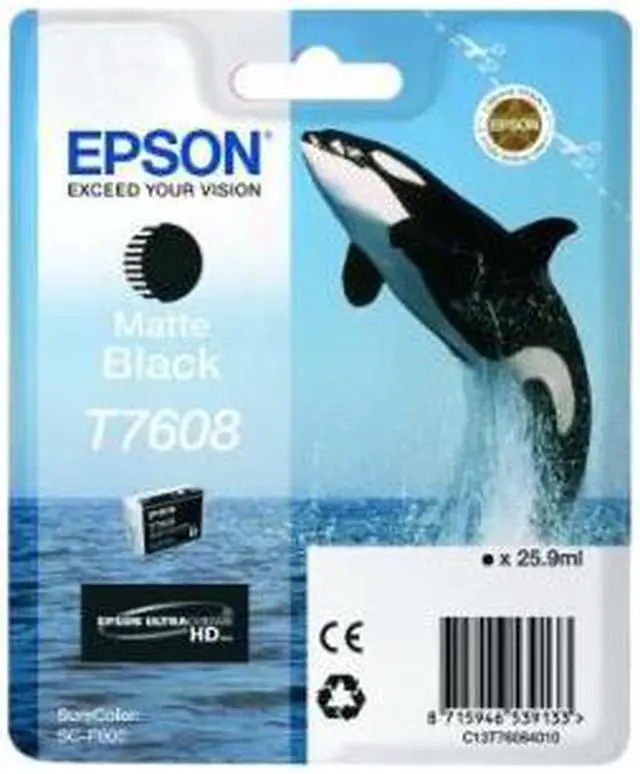 Main image of EPSON PRINT T760820 T760 ULTRACHROME HD MATTE BLACK INK