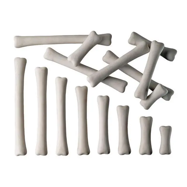 Alt view image 2 of 2 - YELLOW DOOR DINOSAUR BONES MATCH & MEASURE SET