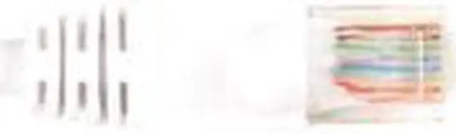 Alt view image 4 of 8 - Black Box CAT5EPC-010-WH Black Box CAT5e Value Line Patch Cable, Stranded, White, 10-ft. (3.0-m) - Category 5e for Network Device - Patch Cable - 10 ft - 1 x RJ-45 Male Network - 1 x RJ-45 Male