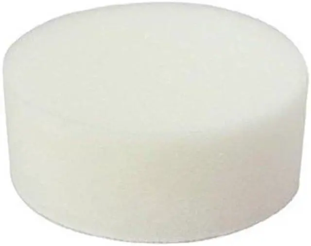 Main image of Astro Pneumatic 20306W Polishing Foam Pad, 3-Inch Diameter, White
