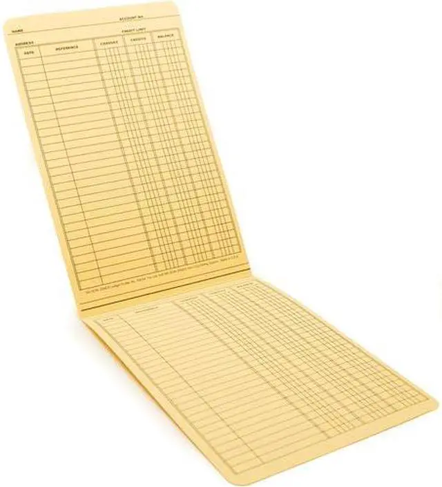 Wilson Jones Folders For Use In Plastic Ledger 9-1/2