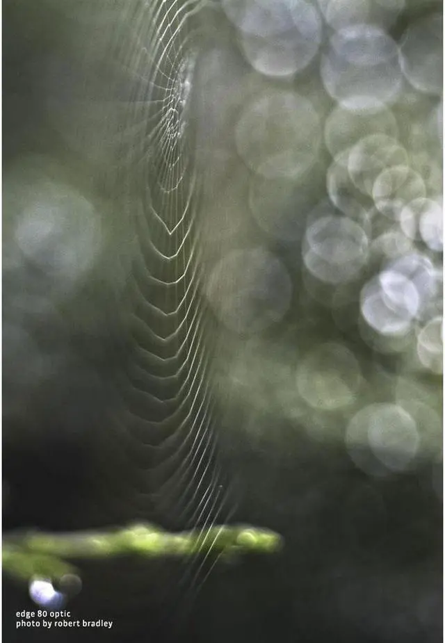 Alt view image 5 of 6 - Lensbaby Composer Pro II Lens with Edge 80 Optic for Sony E