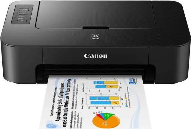 Alt view image 4 of 5 - Canon PIXMA TS202 Inkjet Printer with PG-243 Black, CL-244 Color Ink Cartridges
