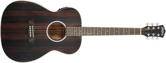 Alt view image 2 of 7 - Washburn Washburn 6 String Acoustic Guitar, Right (DFEFE)