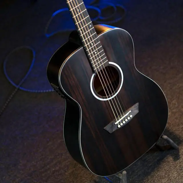 Alt view image 4 of 7 - Washburn Washburn 6 String Acoustic Guitar, Right (DFEFE)