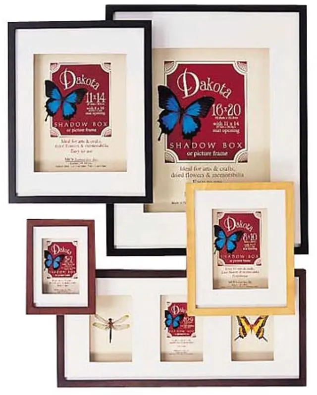 Main image of MCS Dakota Wood Shadow Box Picture Frame for 8x10" Photograph #52731