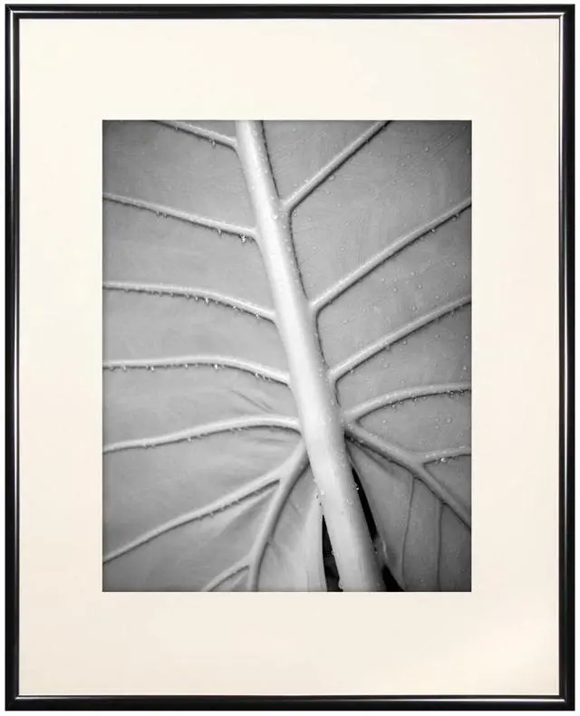 Main image of MCS Classic Aluminum 16x20" Frame, Black #44603