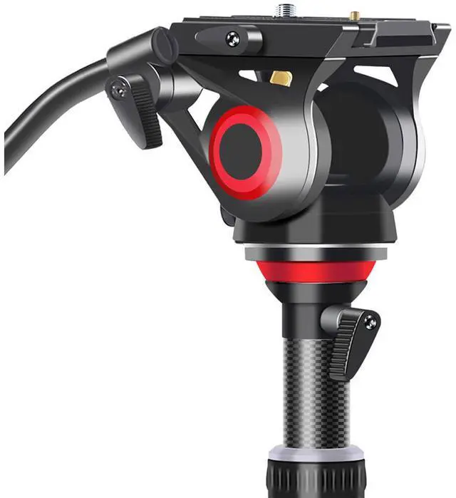 Alt view image 3 of 7 - Came-TV TP-501C 3-Section Carbon Fiber Video Tripod with Fluid Head