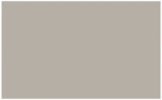 Main image of Adorama Seamless Background Paper, 53" wide x 12 yards, Pursuit Gray, #21
