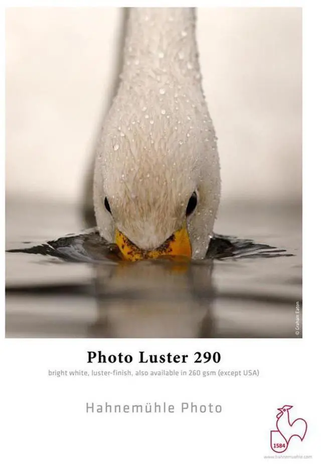 Main image of Hahnemuhle Photo Luster 290 Inkjet Paper, 11x17", 25 Sheets