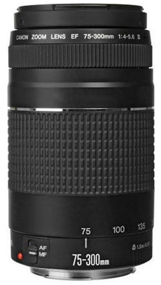 Alt view image 4 of 7 - Canon EF 75-300mm f/4-5.6 III Lens with ProOptic 58mm Filter Kit