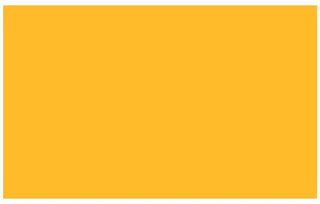 Main image of Adorama Seamless Background Paper, 53" wide x 12 yards, Marigold, #169