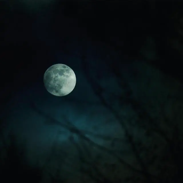 Alt view image 6 of 7 - Sigma 16-300mm f/3.5-6.7 DC OS Contemporary Lens for Sony E, Black #887965