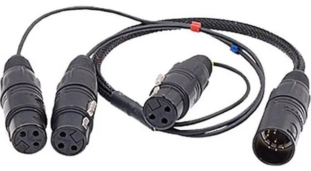 Main image of Ambient Recording 10" 3x XLR-3F to 7-pin XLR M Double MS Breakout Adapter Cable