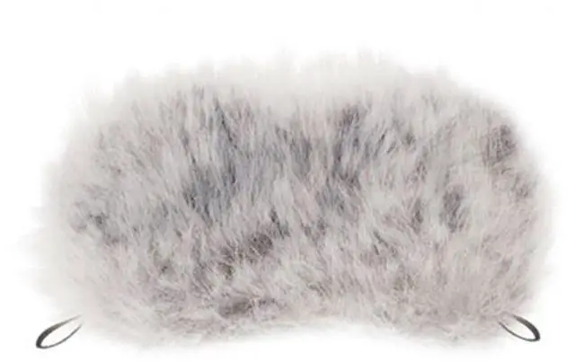 Main image of Tascam WS-11 Windscreen for DR Series Handheld Recorders