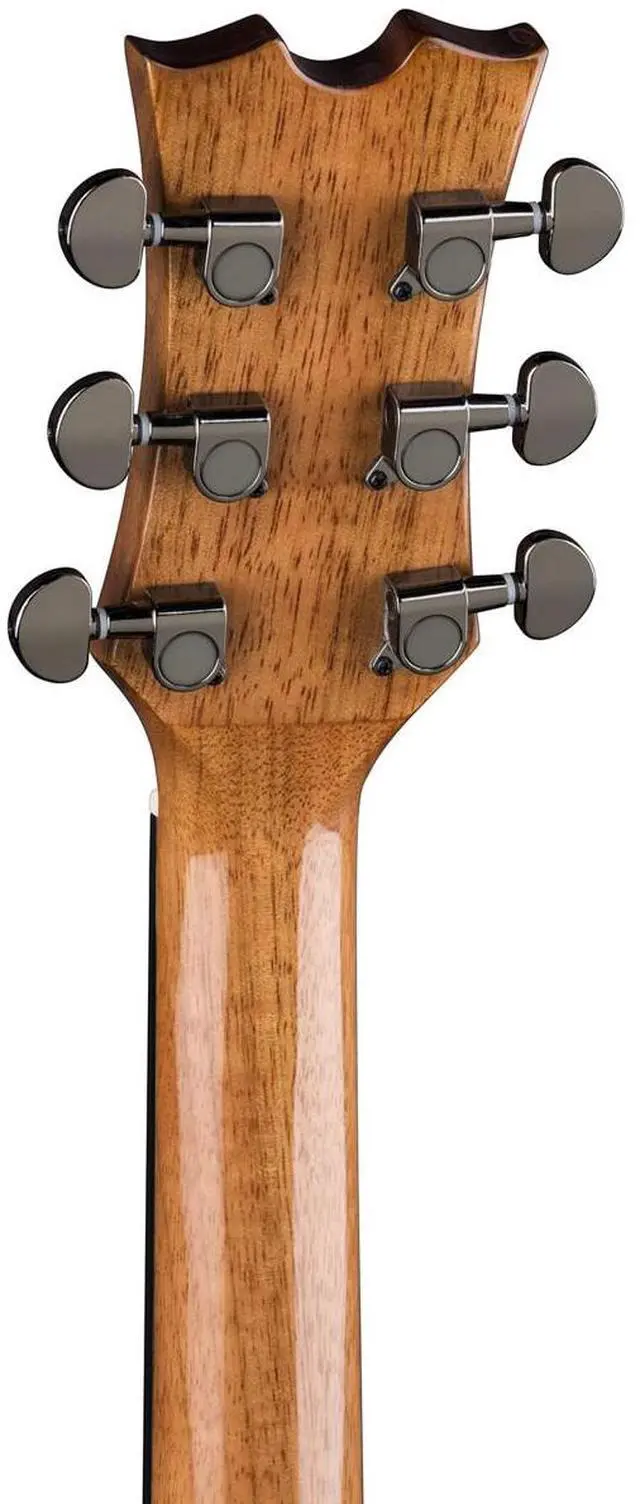 Alt view image 5 of 6 - Dean AXS Prodigy Semi-Acoustic Guitar Pack, Gloss Natural #AX PDY GN PK