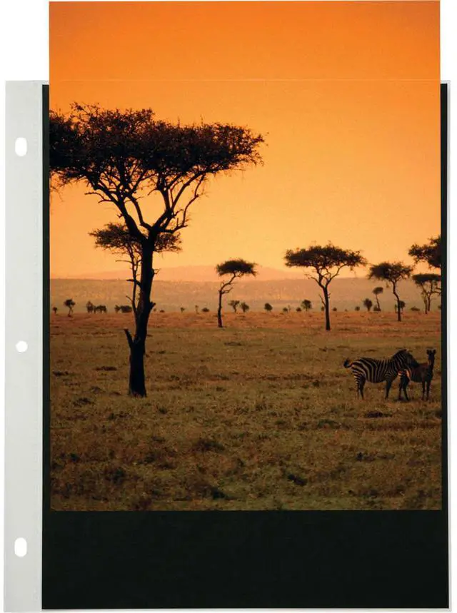 Alt view image 3 of 5 - Itoya 11.7x16.5" A3 Size PolyGlass Refill Pages for Art Profolio Multi-Ring Binder, 10 Pages per Pack